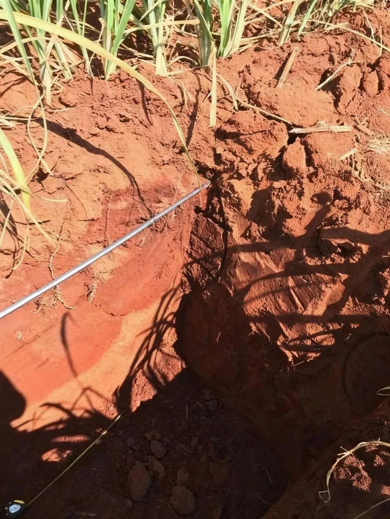 drip tape for irrigation of sugarcane drip tape for irrigation of sugarcane