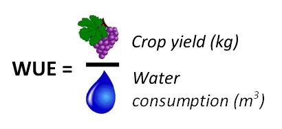 crop-yeild-water-consumption crop-yeild-water-consumption