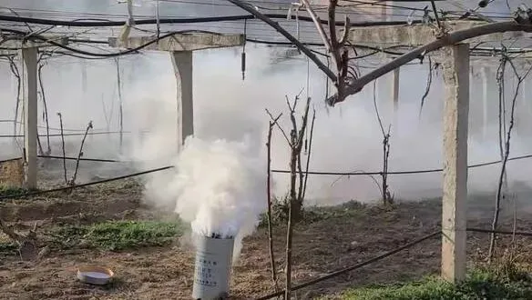 Smudge for Frost Protection Smudge for Frost Protection